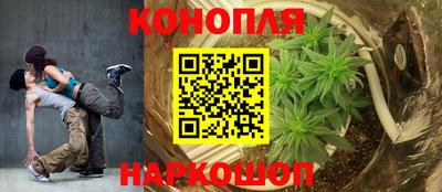 мяу мяу мука Апшеронск