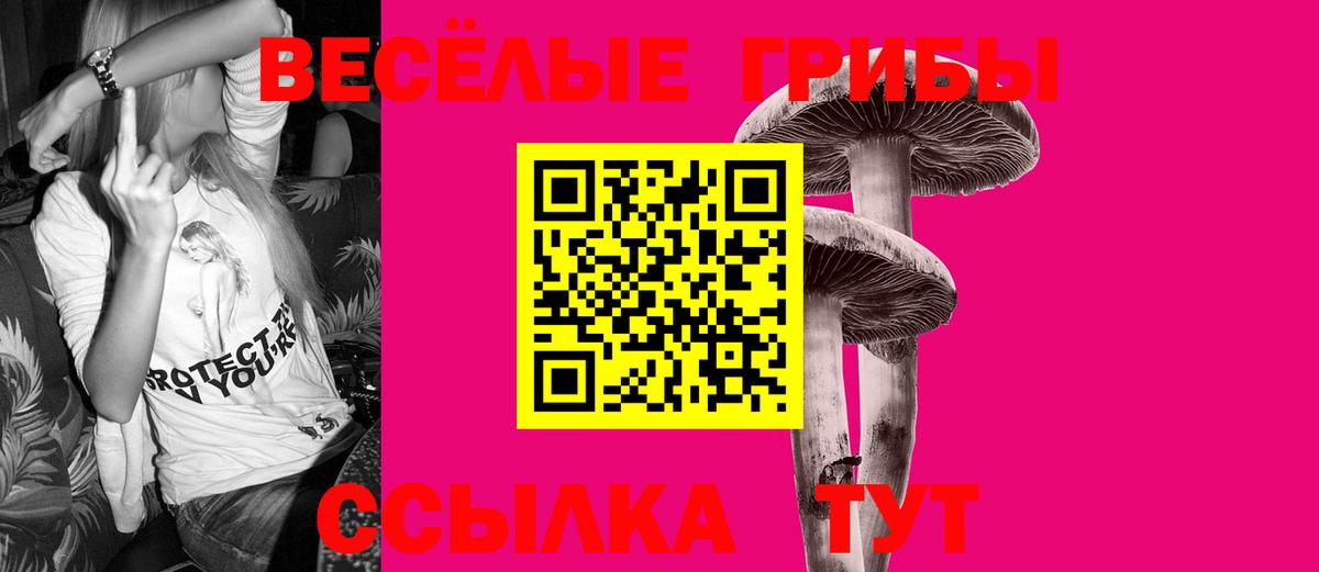 Псилоцибиновые грибы прущие грибы  Вход с VPN  Берёзовский 